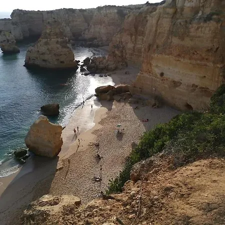 Dans Un Magnifique Complexe